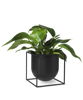 Billede af Kubus Flowerpot, Stor