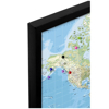 Billede af Pin Board - World Map - Classic