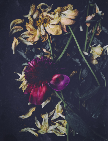 Billede af Red Flower