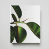 Billede af Green Home Book