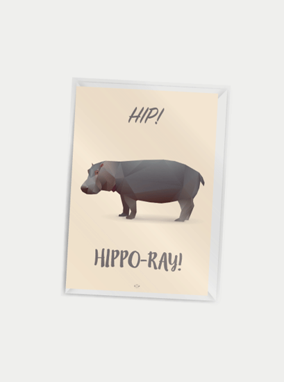 Billede af Hip hipporay, A7