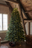 Billede af Anni juletræ, 2,1 m