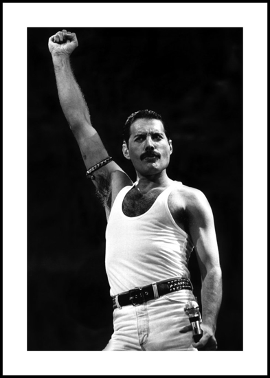 Billede af Freddie Mercury, 30x40