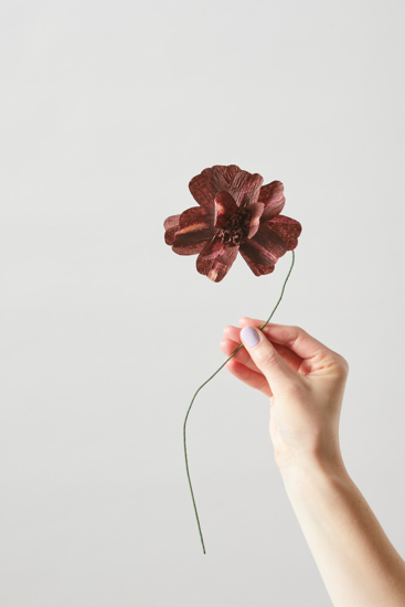 Billede af Papirsblomst, daisy