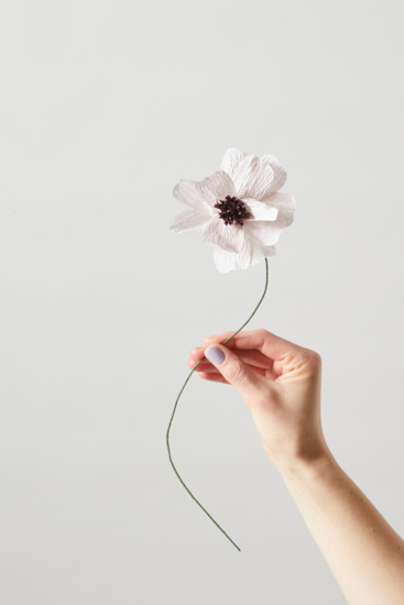 Billede af Papirsblomst, daisy