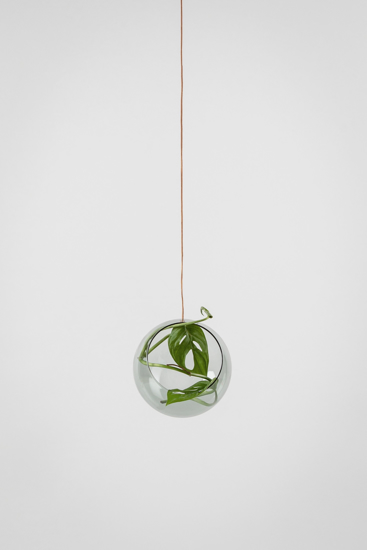 Billede af Hanging plant bubble, M