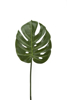 Billede af Monstera blad, H60cm Ø22cm