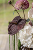Billede af Anthurium blomst