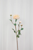 Billede af Dahlia blomst