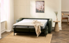 Billede af Discovery sovesofa 140