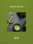 Billede af Matcha