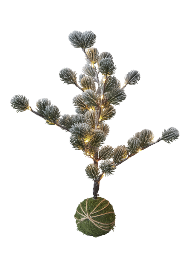 Billede af Freja træ, H60cm